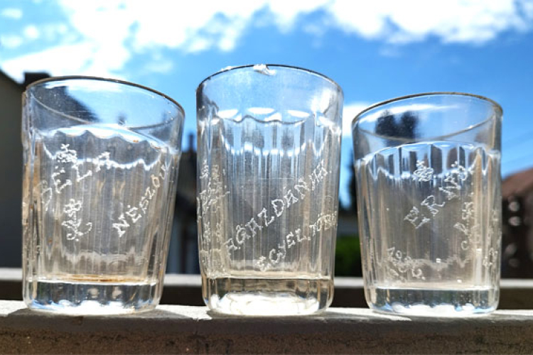 Fekete István Múzeum - A hónap műtárgya