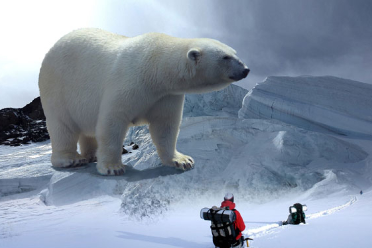 Hogyan védik a skandinávok a környezetet?