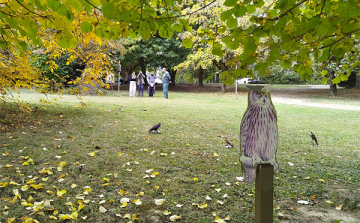 Diákok Fekete István nyomában, a Dél-Zselicben
