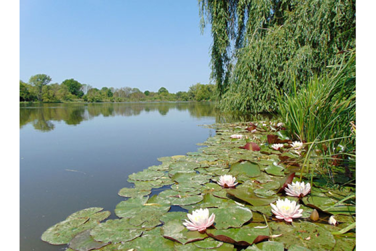 Kiválasztották a horgász egyesület fotópályázatának nyertesét