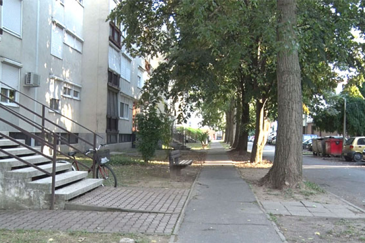 Az ott lakók szavaztak a fák sorsáról